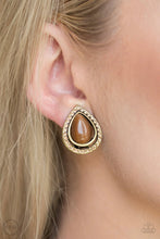 Load image into Gallery viewer, Paparazzi 💜 &quot;Noteworthy Shimmer&quot; -- Brown/Brass Clip-On Earrings
